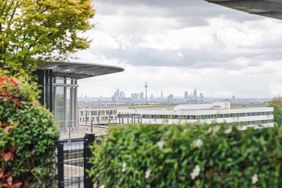 Der Ausblick von den Dächern zeigt die Skyline von Frankfurt am Main.