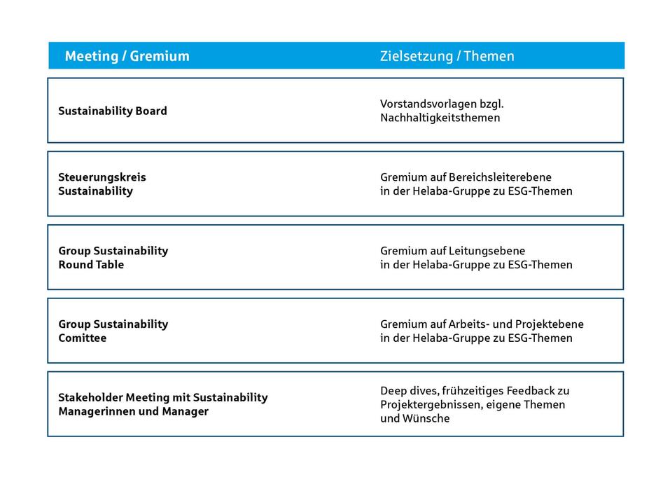 ESG Governance: Projektsicht