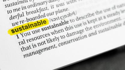 Sustainable Financing Glossary – Image Source: Lobro78 via Getty Images