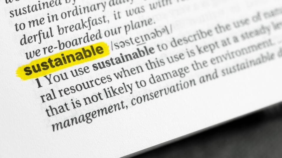 Sustainable Financing Glossary – Image Source: Lobro78 via Getty Images