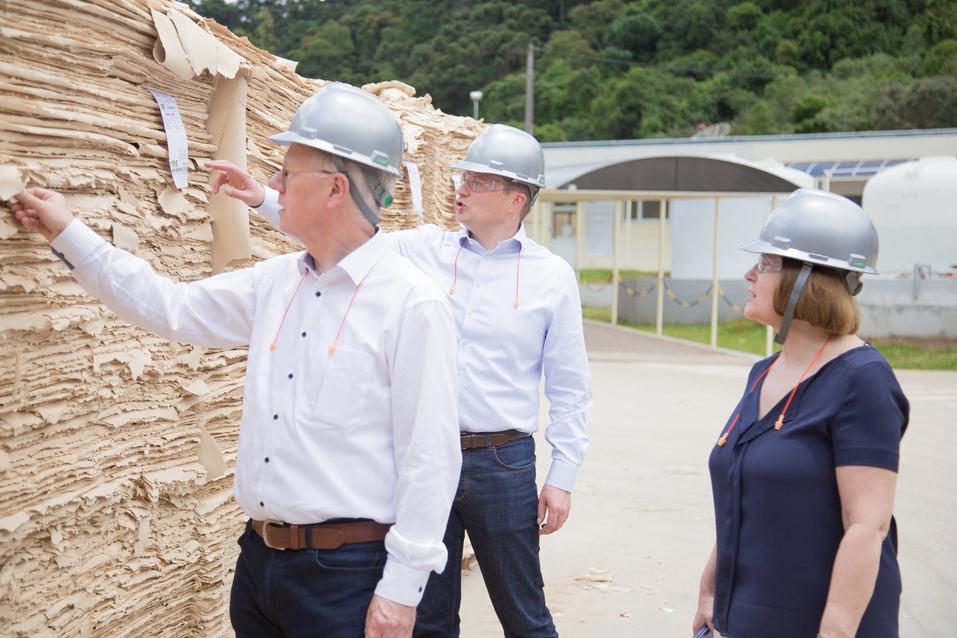 Colleagues from Corporate Banking exploring high yield fibers on the premises of Melhoramentos Florestal (f.l.t.r. Dr Ulrich Pähler, Andrej Rempel, Diana Häring).
